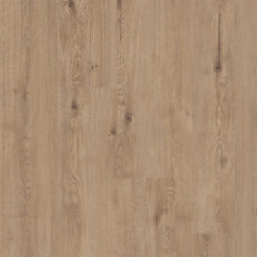 S184930布拉格橡木