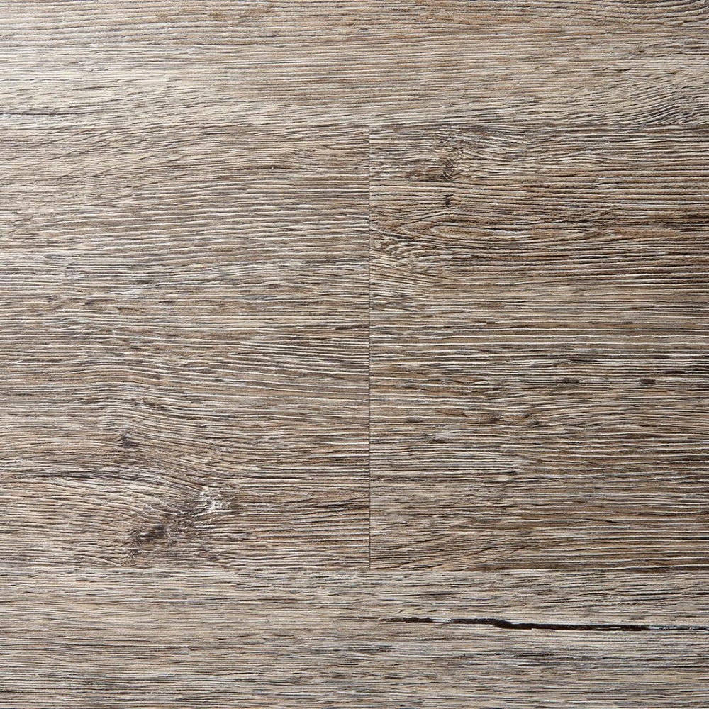 VSPC9RF羅斯福
